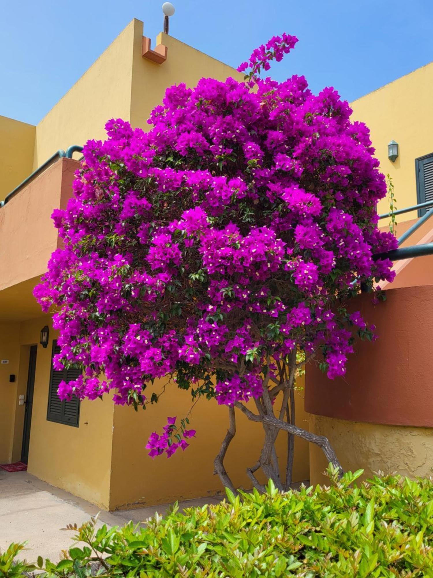 Casa Del Caballero Corralejo Exterior foto
